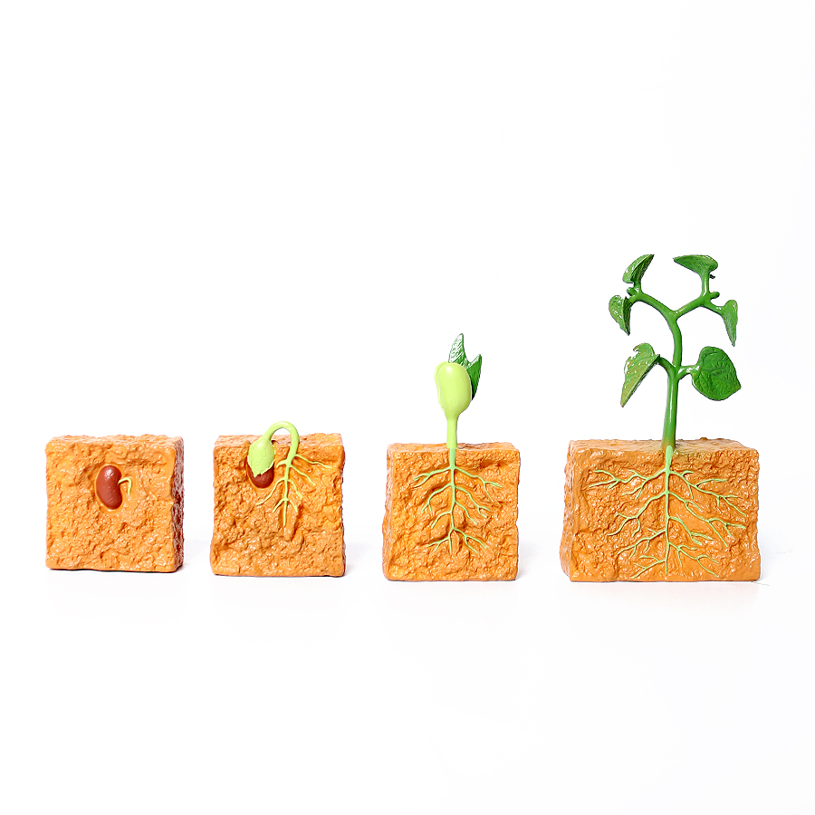 豆の一生の過程を示すプラスチック製のカメ、タコ、白鳥のフィギ - Kids Toys Reviews のレビューと価格